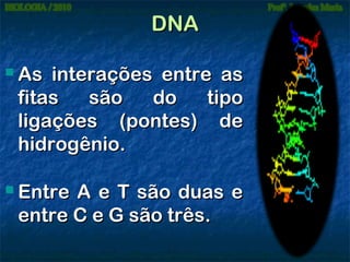 DNA
 As

interações entre as
fitas
são
do
tipo
ligações (pontes) de
hidrogênio.

 Entre

A e T são duas e
entre C e G são três.

 