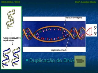 

Duplicação do DNA

 