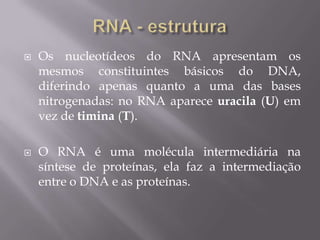  Os nucleotídeos do RNA apresentam os
mesmos constituintes básicos do DNA,
diferindo apenas quanto a uma das bases
nitrogenadas: no RNA aparece uracila (U) em
vez de timina (T).
 O RNA é uma molécula intermediária na
síntese de proteínas, ela faz a intermediação
entre o DNA e as proteínas.
 
