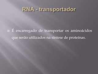 É encarregado de transportar os aminoácidos
que serão utilizados na síntese de proteínas.
 
