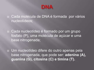  Cada molécula de DNA é formada por vários
nucleotídeos;
 Cada nucleotídeo é formado por um grupo
fosfato (P), uma molécula de açúcar e uma
base nitrogenada;
 Um nucleotídeo difere do outro apenas pela
base nitrogenada, que pode ser: adenina (A),
guanina (G), citosina (C) e timina (T).
 