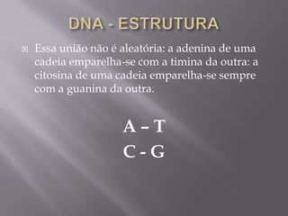  Essa união não é aleatória: a adenina de uma
cadeia emparelha-se com a timina da outra: a
citosina de uma cadeia emparelha-se sempre
com a guanina da outra.
A – T
C - G
 
