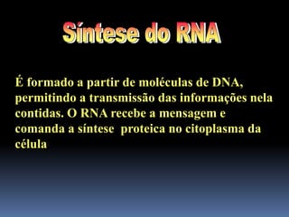É formado a partir de moléculas de DNA,
permitindo a transmissão das informações nela
contidas. O RNA recebe a mensagem e
comanda a síntese proteica no citoplasma da
célula
 