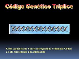 Cada sequência de 3 bases nitrogenadas é chamada Códon
e a ele corresponde um aminoácido
 
