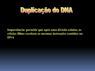 Importância: permitir que após uma divisão celular, as
células filhas recebem as mesmas instruções contidas no
DNA
 