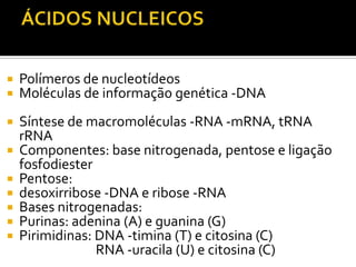 Polímeros de nucleotídeos
 Moléculas de informação genética -DNA
 Síntese de macromoléculas -RNA -mRNA, tRNA
rRNA
 Componentes: base nitrogenada, pentose e ligação
fosfodiester
 Pentose:
 desoxirribose -DNA e ribose -RNA
 Bases nitrogenadas:
 Purinas: adenina (A) e guanina (G)
 Pirimidinas: DNA -timina (T) e citosina (C)
RNA -uracila (U) e citosina (C)
 