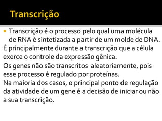  Transcrição é o processo pelo qual uma molécula
de RNA é sintetizada a partir de um molde de DNA.
É principalmente durante a transcrição que a célula
exerce o controle da expressão gênica.
Os genes não são transcritos aleatoriamente, pois
esse processo é regulado por proteínas.
Na maioria dos casos, o principal ponto de regulação
da atividade de um gene é a decisão de iniciar ou não
a sua transcrição.
 