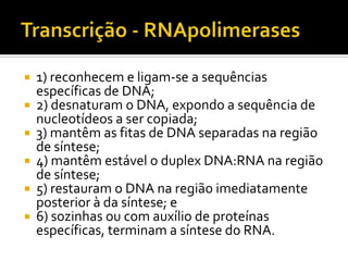  1) reconhecem e ligam-se a sequências
específicas de DNA;
 2) desnaturam o DNA, expondo a sequência de
nucleotídeos a ser copiada;
 3) mantêm as fitas de DNA separadas na região
de síntese;
 4) mantêm estável o duplex DNA:RNA na região
de síntese;
 5) restauram o DNA na região imediatamente
posterior à da síntese; e
 6) sozinhas ou com auxílio de proteínas
específicas, terminam a síntese do RNA.
 