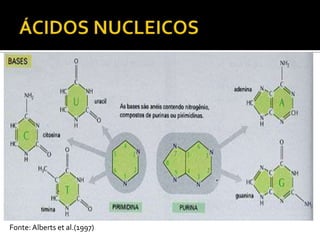 Fonte: Alberts et al.(1997)
 