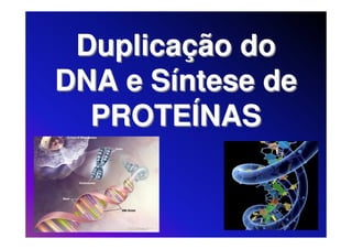 Duplicação do
DNA e Síntese de
  PROTEÍNAS
 