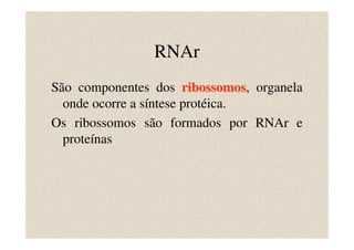 RNAr
São componentes dos ribossomos, organela
                        ribossomos
  onde ocorre a síntese protéica.
Os ribossomos são formados por RNAr e
  proteínas
 