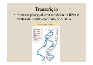 Transcrição
• Processo pelo qual uma molécula de RNA é
  produzida usando como molde o DNA.
 