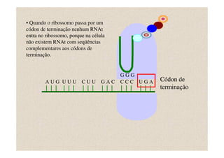 • Quando o ribossomo passa por um
códon de terminação nenhum RNAt
entra no ribossomo, porque na célula
não existem RNAt com seqüências
complementares aos códons de
terminação.


                                        GGG
        AUG UUU          CUU      GAC   CCC UGA   Códon de
                                                  terminação
 