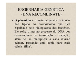 ENGENHARIA GENÉTICA
     (DNA RECOMBINATE)
• O plasmídio é o material genético circular
  não ligado ao cromossomo que fica
  espalhado pelo hialoplasma das bactérias.
  Ele sofre o mesmo processo do DNA dos
  cromossomos de transcrição e tradução,
  além de, se multiplicar a cada divisão
  celular, passando uma cópia para cada
  célula “filha”.
 