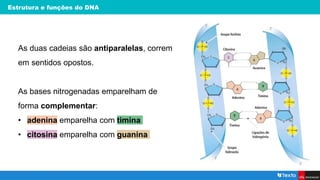 Estrutura e funções do DNA
As duas cadeias são antiparalelas, correm
em sentidos opostos.
As bases nitrogenadas emparelham de
forma complementar:
• adenina emparelha com timina
• citosina emparelha com guanina
 