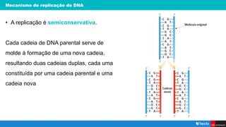 Mecanismo de replicação do DNA
• A replicação é semiconservativa.
Cada cadeia de DNA parental serve de
molde à formação de uma nova cadeia,
resultando duas cadeias duplas, cada uma
constituída por uma cadeia parental e uma
cadeia nova
 