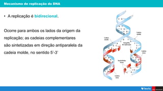 Mecanismo de replicação do DNA
• A replicação é bidirecional.
Ocorre para ambos os lados da origem da
replicação; as cadeias complementares
são sintetizadas em direção antiparalela da
cadeia molde, no sentido 5’-3’
 
