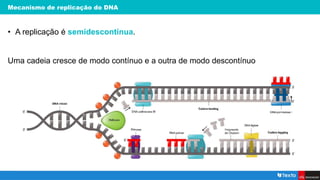 Mecanismo de replicação do DNA
• A replicação é semidescontínua.
Uma cadeia cresce de modo contínuo e a outra de modo descontínuo
 