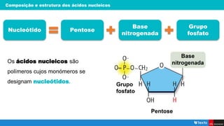 Composição e estrutura dos ácidos nucleicos
Os ácidos nucleicos são
polímeros cujos monómeros se
designam nucleótidos.
Pentose
Nucleótido
Base
nitrogenada
Grupo
fosfato
 