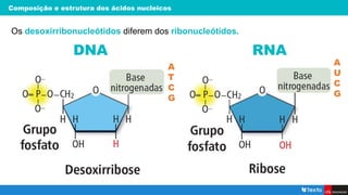 Composição e estrutura dos ácidos nucleicos
Os desoxirribonucleótidos diferem dos ribonucleótidos.
DNA RNA
A
T
C
G
A
U
C
G
 