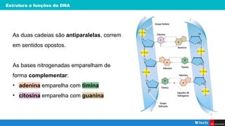 Estrutura e funções do DNA
As duas cadeias são antiparalelas, correm
em sentidos opostos.
As bases nitrogenadas emparelham de
forma complementar:
• adenina emparelha com timina
• citosina emparelha com guanina
 