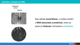 Estrutura e funções do DNA
Nas células eucarióticas, o núcleo contém
o DNA associado a proteínas, entre as
quais as histonas, formando a cromatina.
 