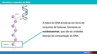 Estrutura e funções do DNA
A hélice do DNA enrola-se em torno de
conjuntos de histonas, formando os
nucleossomas, que são as unidades
básicas de compactação do DNA.
 