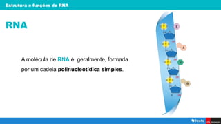 Estrutura e funções do RNA
RNA
A molécula de RNA é, geralmente, formada
por um cadeia polinucleotídica simples.
 