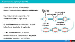 Mecanismo de replicação do DNA
• A replicação inicia-se em sequências
nucleotídicas específicas - origem de replicação
• Ligam-se proteínas que promovem a
desestabilização da dupla hélice
• As helicases desenrolam e separam a dupla
hélice formando a bolha de replicação
• A DNA polimerase forma as cadeias
complementares do DNA molde por adição de
nucleótidos seguindo a regra AT/GC
 