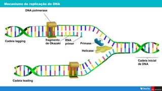 Mecanismo de replicação do DNA
 