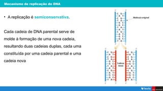 Mecanismo de replicação do DNA
• A replicação é semiconservativa.
Cada cadeia de DNA parental serve de
molde à formação de uma nova cadeia,
resultando duas cadeias duplas, cada uma
constituída por uma cadeia parental e uma
cadeia nova
 