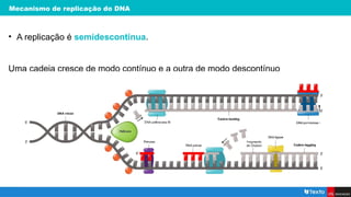 Mecanismo de replicação do DNA
• A replicação é semidescontínua.
Uma cadeia cresce de modo contínuo e a outra de modo descontínuo
 