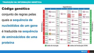 TRADUÇÃO DA INFORMAÇÃO GENÉTICA
Código genético
conjunto de regras pelas
quais a sequência de
nucleótidos de um gene
é traduzida na sequência
de aminoácidos de uma
proteína
 
