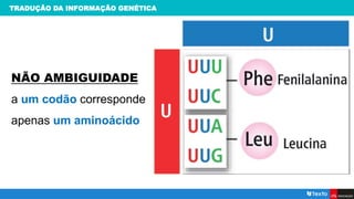 TRADUÇÃO DA INFORMAÇÃO GENÉTICA
NÃO AMBIGUIDADE
a um codão corresponde
apenas um aminoácido
 