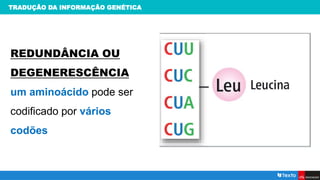 TRADUÇÃO DA INFORMAÇÃO GENÉTICA
REDUNDÂNCIA OU
DEGENERESCÊNCIA
um aminoácido pode ser
codificado por vários
codões
 