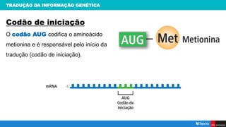 TRADUÇÃO DA INFORMAÇÃO GENÉTICA
Codão de iniciação
O codão AUG codifica o aminoácido
metionina e é responsável pelo início da
tradução (codão de iniciação).
 