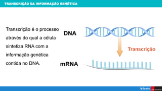 TRANSCRIÇÃO DA INFORMAÇÃO GENÉTICA
Transcrição é o processo
através do qual a célula
sintetiza RNA com a
informação genética
contida no DNA.
 