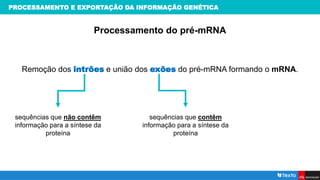 PROCESSAMENTO E EXPORTAÇÃO DA INFORMAÇÃO GENÉTICA
Processamento do pré-mRNA
Remoção dos intrões e união dos exões do pré-mRNA formando o mRNA.
sequências que não contêm
informação para a síntese da
proteína
sequências que contêm
informação para a síntese da
proteína
 
