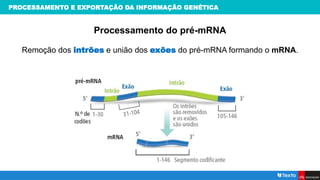 PROCESSAMENTO E EXPORTAÇÃO DA INFORMAÇÃO GENÉTICA
Processamento do pré-mRNA
Remoção dos intrões e união dos exões do pré-mRNA formando o mRNA.
 