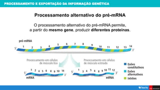 PROCESSAMENTO E EXPORTAÇÃO DA INFORMAÇÃO GENÉTICA
Processamento alternativo do pré-mRNA
O processamento alternativo do pré-mRNA permite,
a partir do mesmo gene, produzir diferentes proteínas.
 