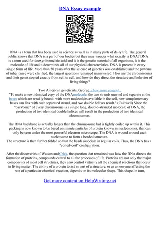 Dna Example Paper Dna Essay | PDF