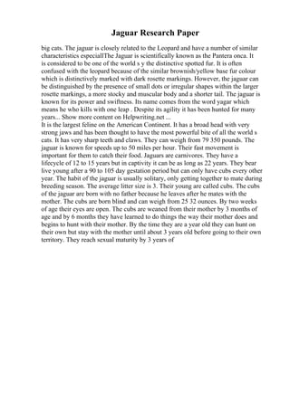 Jaguar Research Paper
big cats. The jaguar is closely related to the Leopard and have a number of similar
characteristics especiallThe Jaguar is scientifically known as the Pantera onca. It
is considered to be one of the world s y the distinctive spotted fur. It is often
confused with the leopard because of the similar brownish/yellow base fur colour
which is distinctively marked with dark rosette markings. However, the jaguar can
be distinguished by the presence of small dots or irregular shapes within the larger
rosette markings, a more stocky and muscular body and a shorter tail. The jaguar is
known for its power and swiftness. Its name comes from the word yagar which
means he who kills with one leap . Despite its agility it has been hunted for many
years... Show more content on Helpwriting.net ...
It is the largest feline on the American Continent. It has a broad head with very
strong jaws and has been thought to have the most powerful bite of all the world s
cats. It has very sharp teeth and claws. They can weigh from 79 350 pounds. The
jaguar is known for speeds up to 50 miles per hour. Their fast movement is
important for them to catch their food. Jaguars are carnivores. They have a
lifecycle of 12 to 15 years but in captivity it can be as long as 22 years. They bear
live young after a 90 to 105 day gestation period but can only have cubs every other
year. The habit of the jaguar is usually solitary, only getting together to mate during
breeding season. The average litter size is 3. Their young are called cubs. The cubs
of the jaguar are born with no father because he leaves after he mates with the
mother. The cubs are born blind and can weigh from 25 32 ounces. By two weeks
of age their eyes are open. The cubs are weaned from their mother by 3 months of
age and by 6 months they have learned to do things the way their mother does and
begins to hunt with their mother. By the time they are a year old they can hunt on
their own but stay with the mother until about 3 years old before going to their own
territory. They reach sexual maturity by 3 years of
 