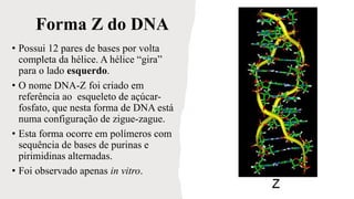 DNA Estrutura secundária e terciária.pdf