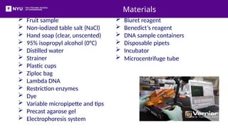 DNA extraction by Gel Electrophoresis pptx | PPTX