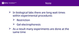 DNA extraction by Gel Electrophoresis pptx | PPTX