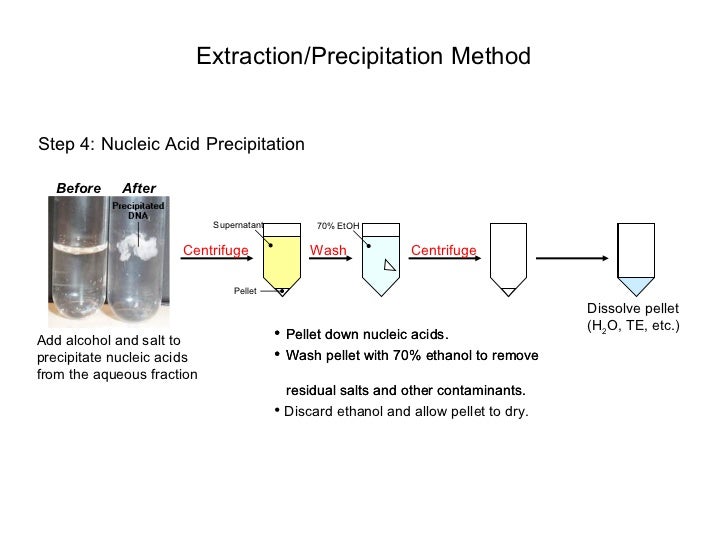 Dna extraction