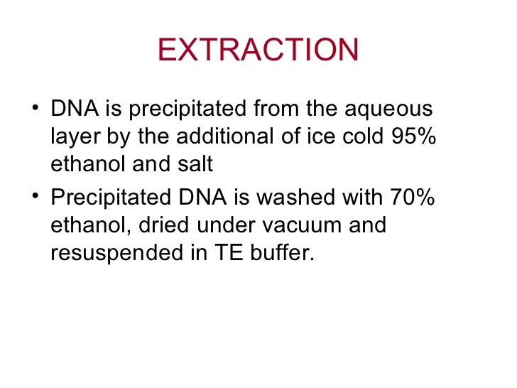 Dna extraction