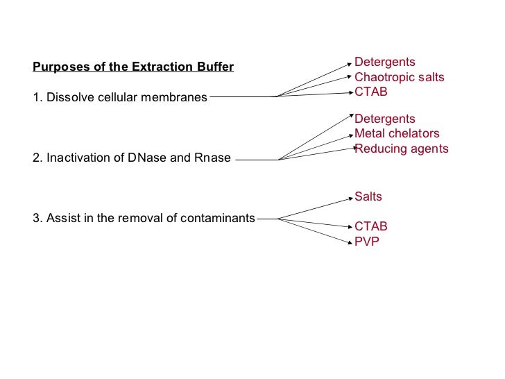 Dna extraction
