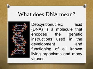 What does DNA mean?
Deoxyribonucleic acid
(DNA) is a molecule that
encodes the genetic
instructions used in the
development and
functioning of all known
living organisms and many
viruses
 