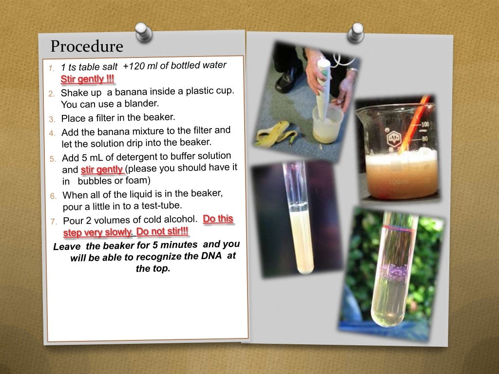 Dna extraction